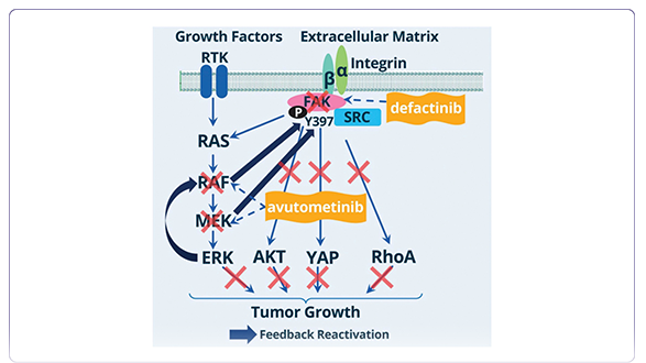 2024–2025 Drug Updates in Solid Tumors
