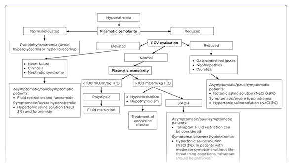 An Overview of the Management of Electrolyte Emergencies and Imbalances in Cancer Patients