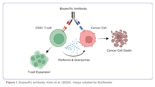 Successful Management of Patients Receiving Bispecific Antibodies for Hematologic Malignancies