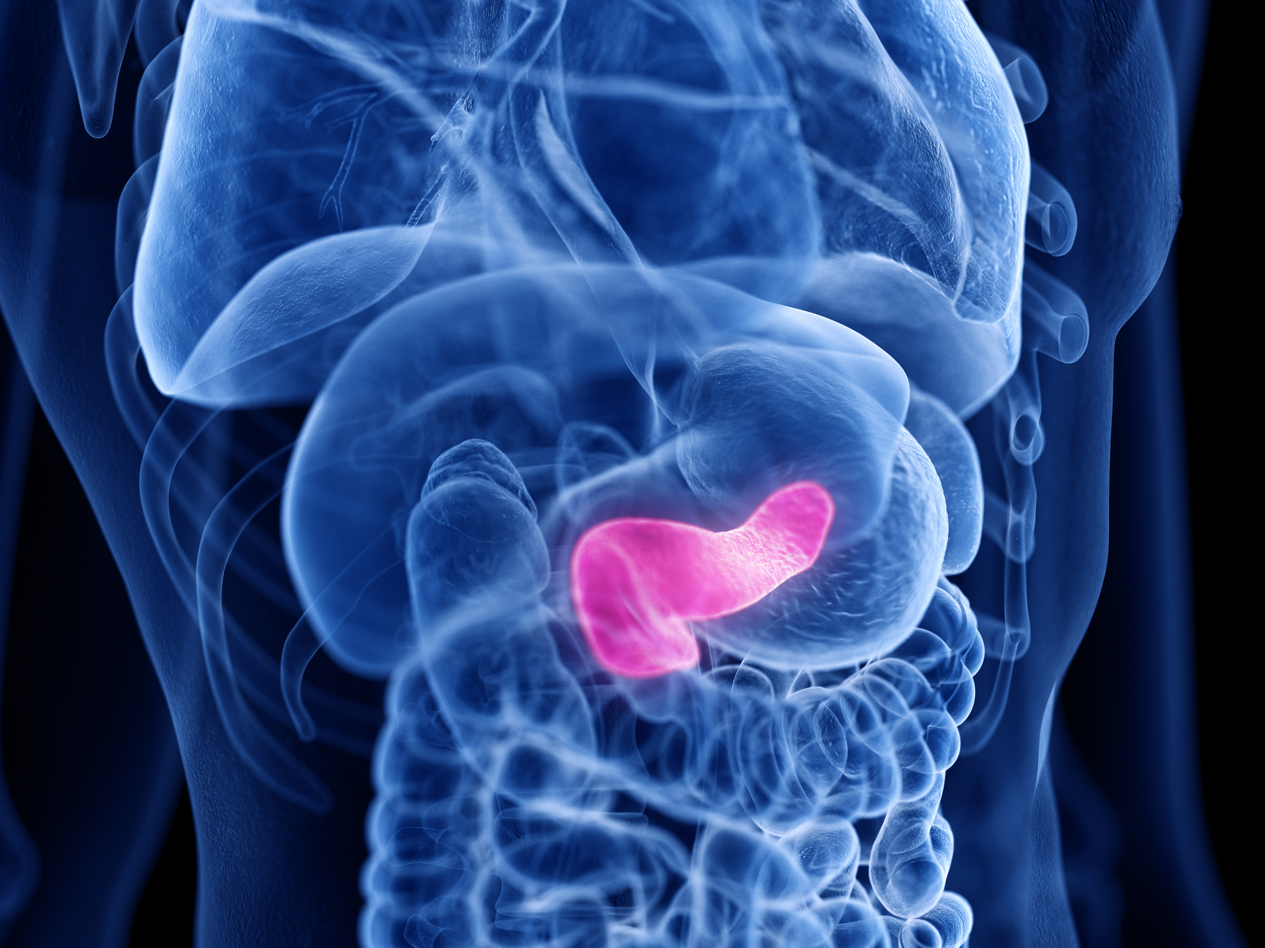 Pancreatic Cancer: The Advanced Practitioner's Role in Early Diagnosis and Management