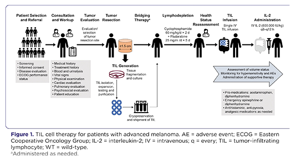Tumor-Infiltrating Lymphocyte Cell Therapy for the Treatment of Advanced Melanoma: From Patient Identification to Posttreatment Management