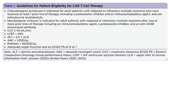 Understanding the Role and Clinical Management of Bridging Therapy During CAR T-Cell Therapy for Relapsed or Refractory Multiple Myeloma