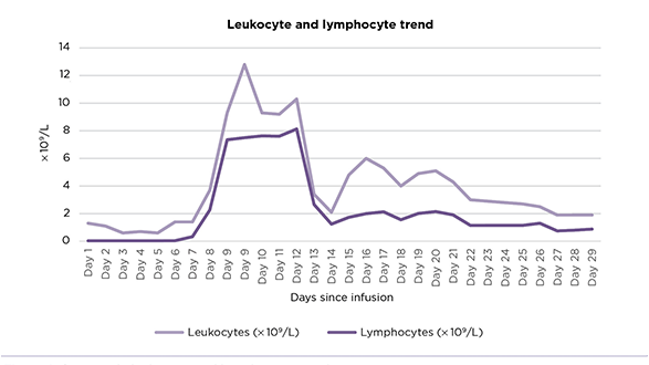 Orthopnea From Phrenic Nerve Palsy After Ciltacabtagene Autoleucel CAR T-Cell Therapy in a Patient With Multiple Myeloma