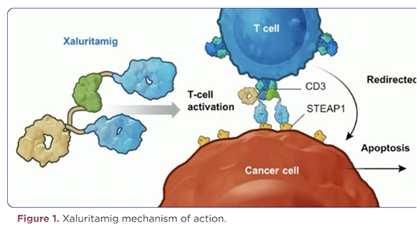 2023-2024 Drug Updates: Investigational Therapeutics in the Pipeline