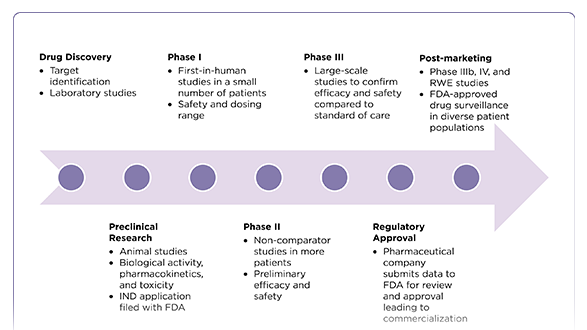 Building Bridges: The Impact of Medical Science Liaison and Advanced Practice Provider Collaborations