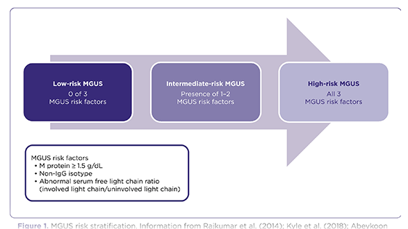 A Comprehensive Review of Monoclonal Gammopathy of Undetermined Significance
