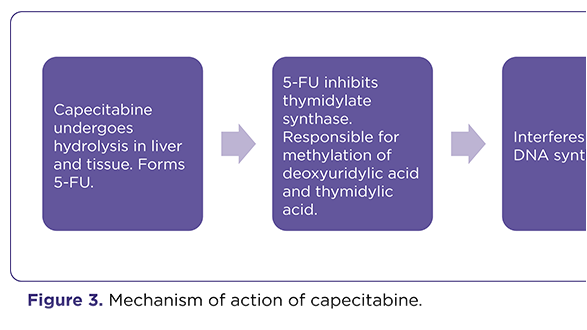 Capecitabine-Induced Hand-Foot Syndrome With Genital Involvement