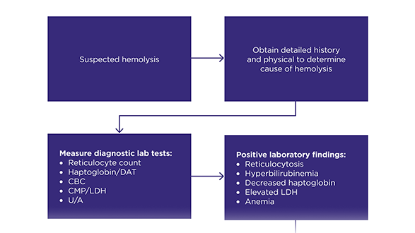 A Rare Case of Acute Hemolysis After Rasburicase Infusion