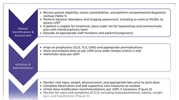 Care Optimization for Patients With Blastic Plasmacytoid Dendritic Cell Neoplasm Receiving Tagraxofusp
